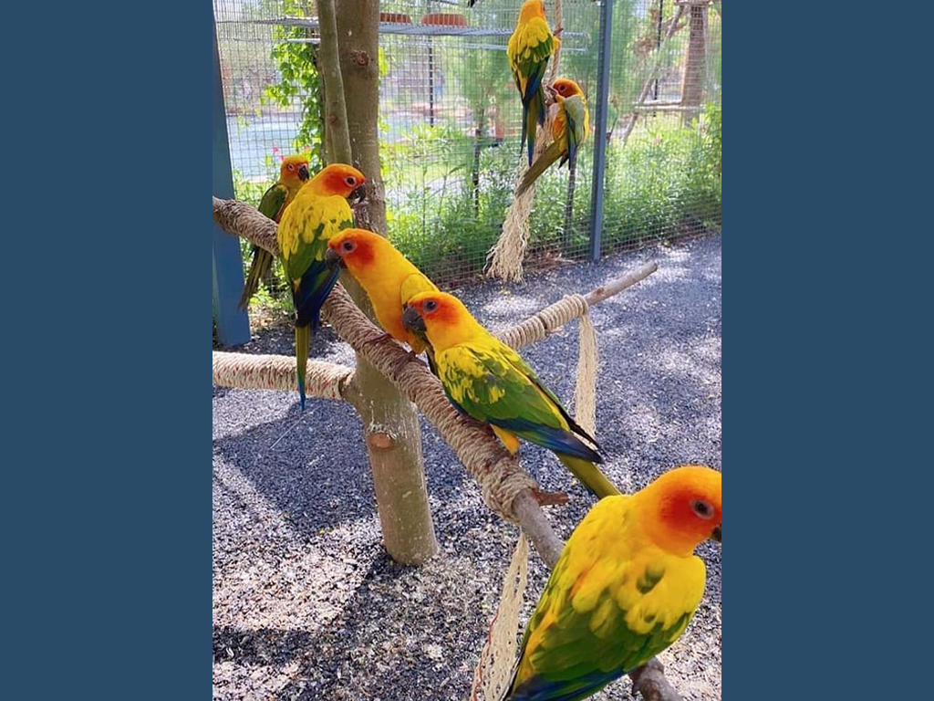 https://apis.sawasdee.ai/microsite/images/post/ckeditor/image-20230209095318-11.png
